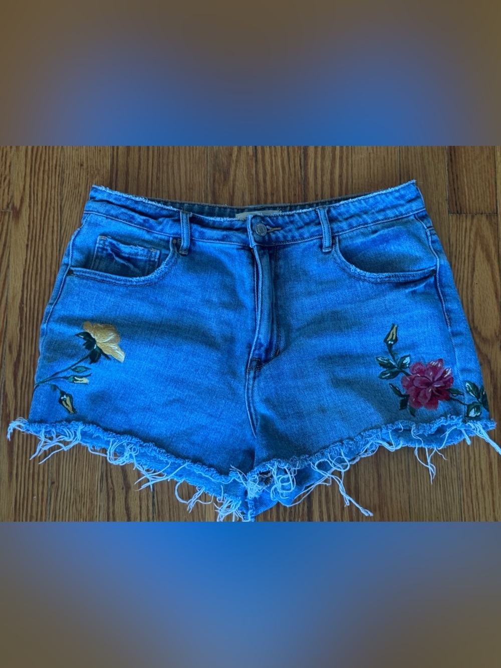 Pacsun Denim Embroidered Frayed Hem Women's Shorts - Blue Size 30